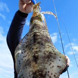 Fisherman Dreams DI 釣果