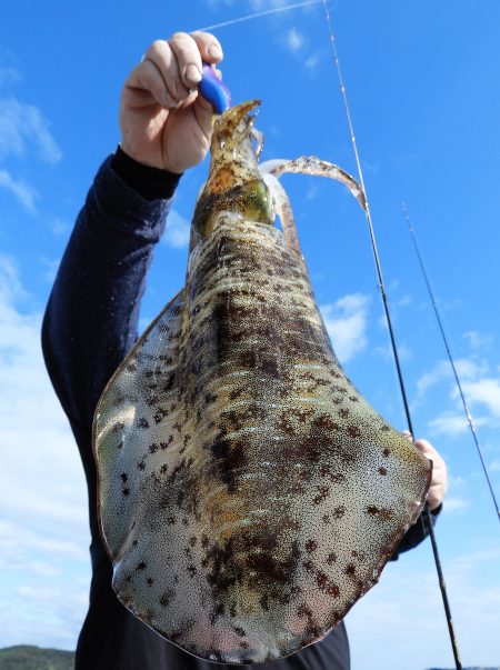 Fisherman Dreams DI 釣果