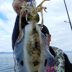 Fisherman Dreams DI 釣果