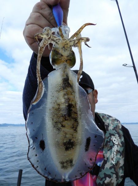 Fisherman Dreams DI 釣果