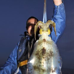 Fisherman Dreams DI 釣果