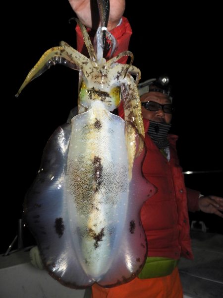 Fisherman Dreams DI 釣果