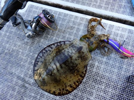 Fisherman Dreams DI 釣果