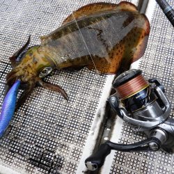 Fisherman Dreams DI 釣果