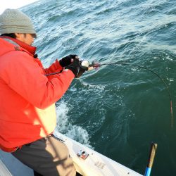 Fisherman Dreams DI 釣果