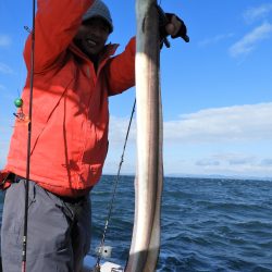 Fisherman Dreams DI 釣果