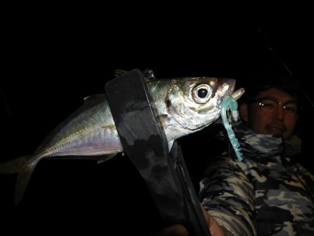 Fisherman Dreams DI 釣…