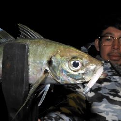 Fisherman Dreams DI 釣果