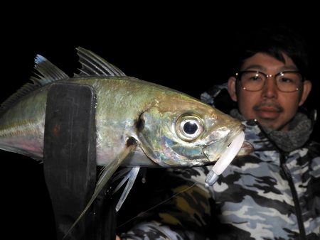 Fisherman Dreams DI 釣果