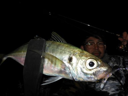 Fisherman Dreams DI 釣果