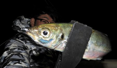 Fisherman Dreams DI 釣果