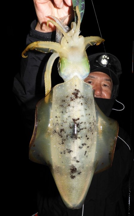 Fisherman Dreams DI 釣果