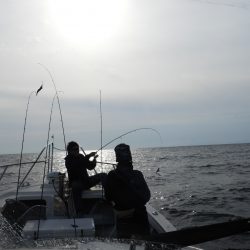 Fisherman Dreams DI 釣果