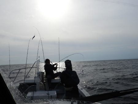 Fisherman Dreams DI 釣果