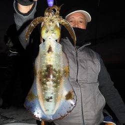 Fisherman Dreams DI 釣果