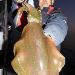 Fisherman Dreams DI 釣果