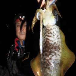 Fisherman Dreams DI 釣果