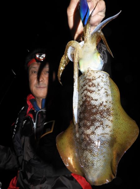 Fisherman Dreams DI 釣果