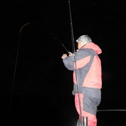 Fisherman Dreams DI 釣果