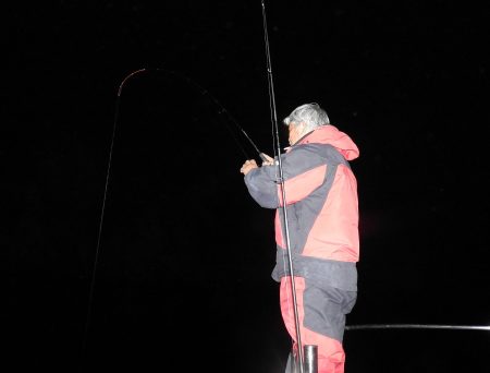 Fisherman Dreams DI 釣果