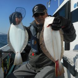 大進丸（愛知） 釣果