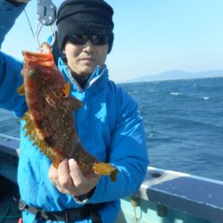 大進丸（愛知） 釣果