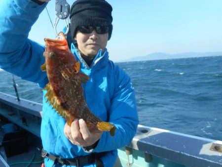 大進丸（愛知） 釣果