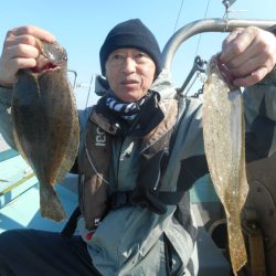 大進丸（愛知） 釣果