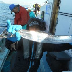 大進丸（愛知） 釣果