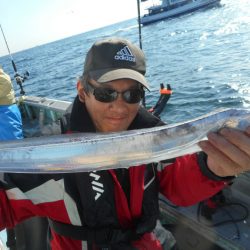 大進丸（愛知） 釣果