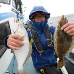 大進丸（愛知） 釣果