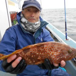 大進丸（愛知） 釣果