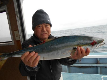 大進丸（愛知） 釣果