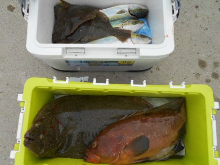 大進丸（愛知） 釣果