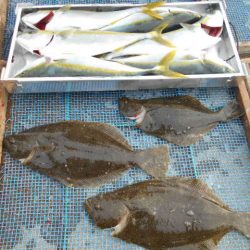 大進丸（愛知） 釣果