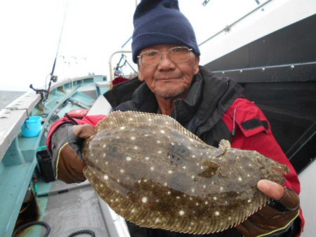 大進丸（愛知） 釣果