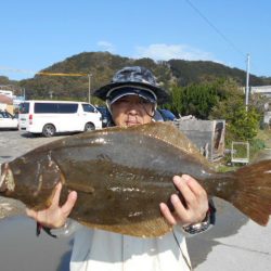 大進丸（愛知） 釣果