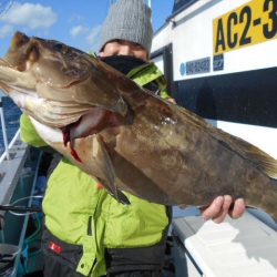 大進丸（愛知） 釣果