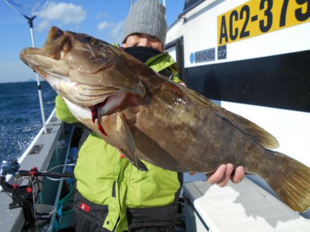 大進丸（愛知） 釣果