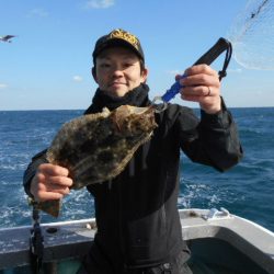 大進丸（愛知） 釣果