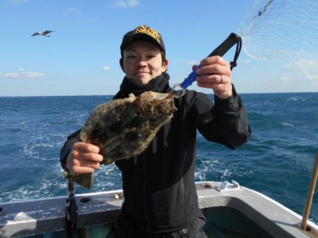 大進丸（愛知） 釣果