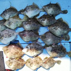 第二常豊丸 釣果