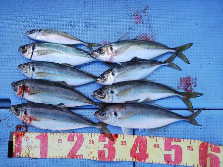 第二常豊丸 釣果