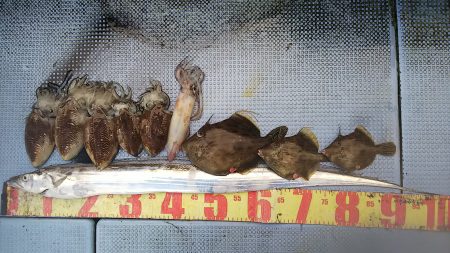 第二常豊丸 釣果