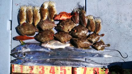 第二常豊丸 釣果