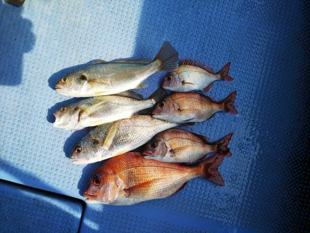 第二常豊丸 釣果