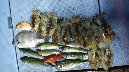 第二常豊丸 釣果