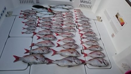 フィッシングボートACE(エース) 釣果