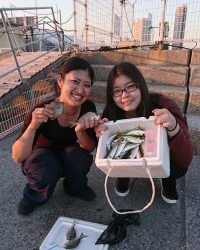 和歌山マリーナシティ釣り公園 釣果