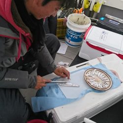 武士(SAMURAI) 釣果